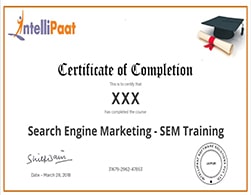 search engine marketing